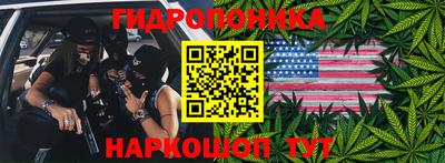 гидра Анжеро-Судженск